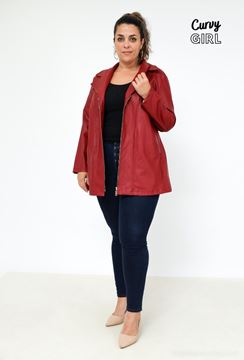 Picture of PLUS SIZE ZIPPED HOODED SUEDE JACKET